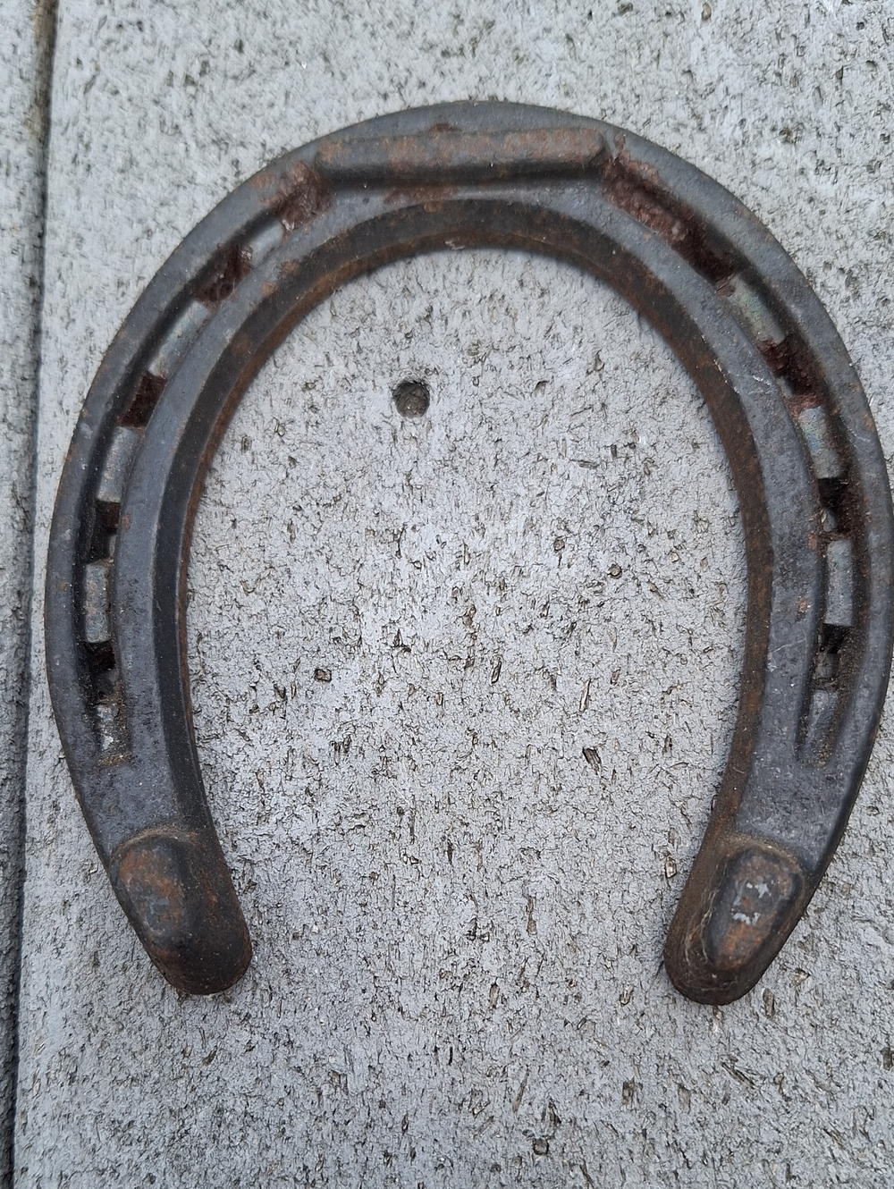 Vintage Metal Horseshoe Wall Accent - Brown Finish